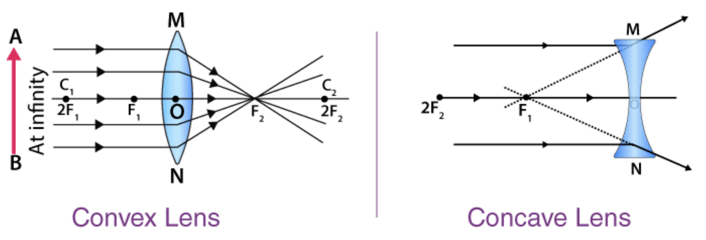 Concave & Convex Lenses