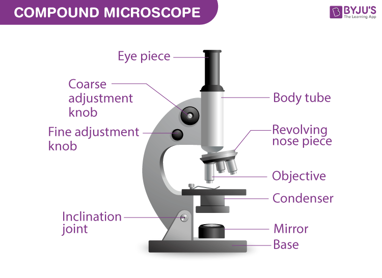 Microscope label diagram