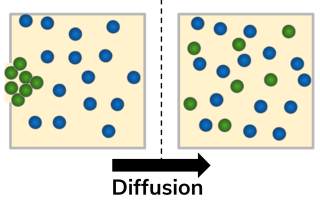 Diffusion particle model